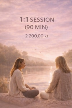 1:1 session (90 min)